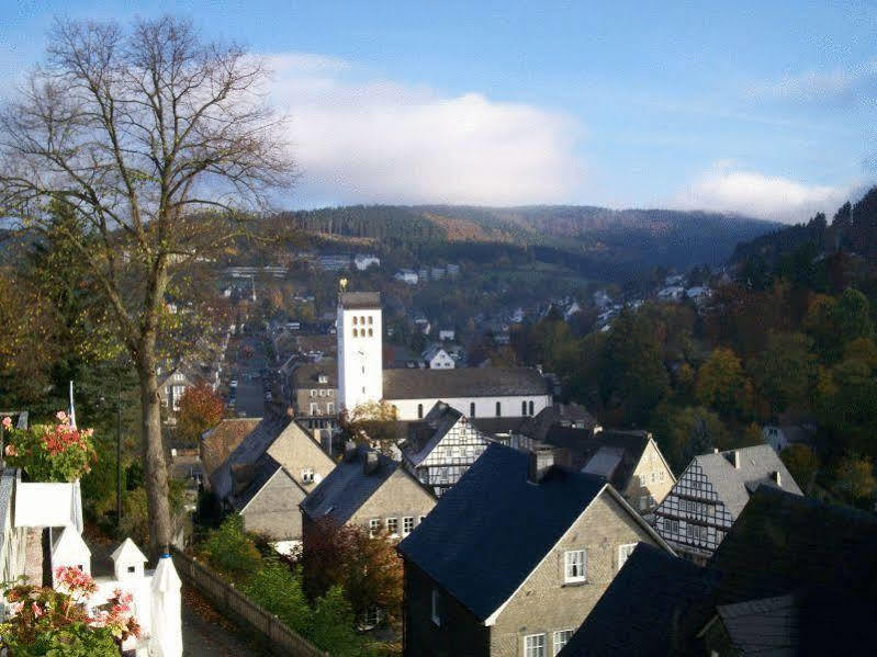 Zur Fredeburg Hotel Шмаленберг Екстериор снимка